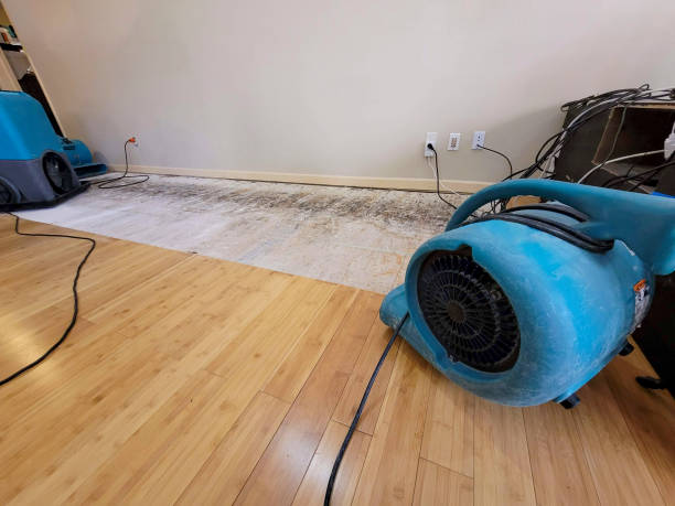 Professional Water Removal technician working in Forestdale, RI